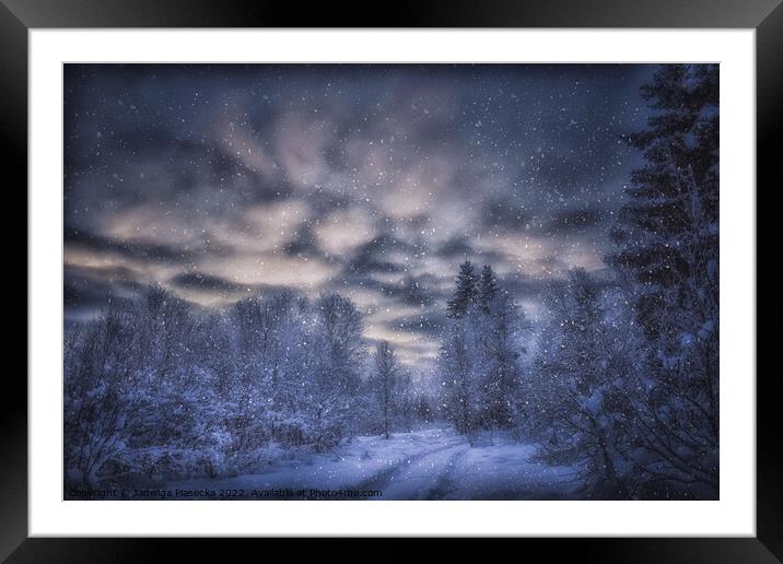Snowy Forest - Finnish Lapland Framed Mounted Print by Jadwiga Piasecka