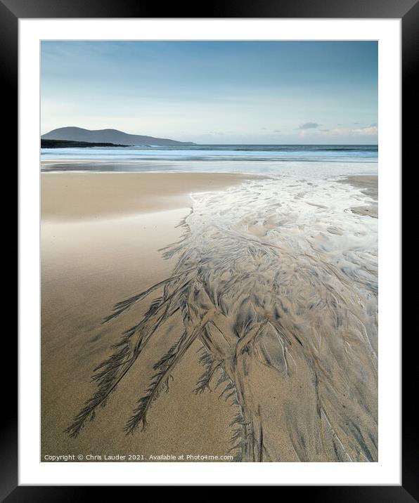 Harris beach feathers Framed Mounted Print by Chris Lauder