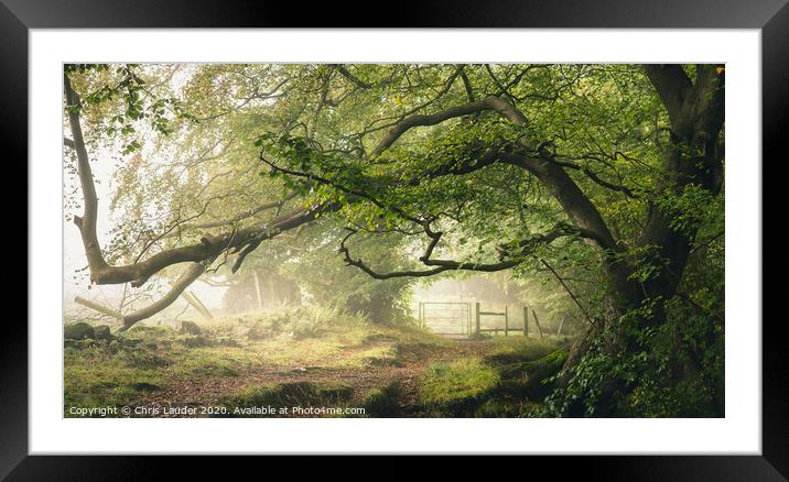 Gateway in the mist Framed Mounted Print by Chris Lauder