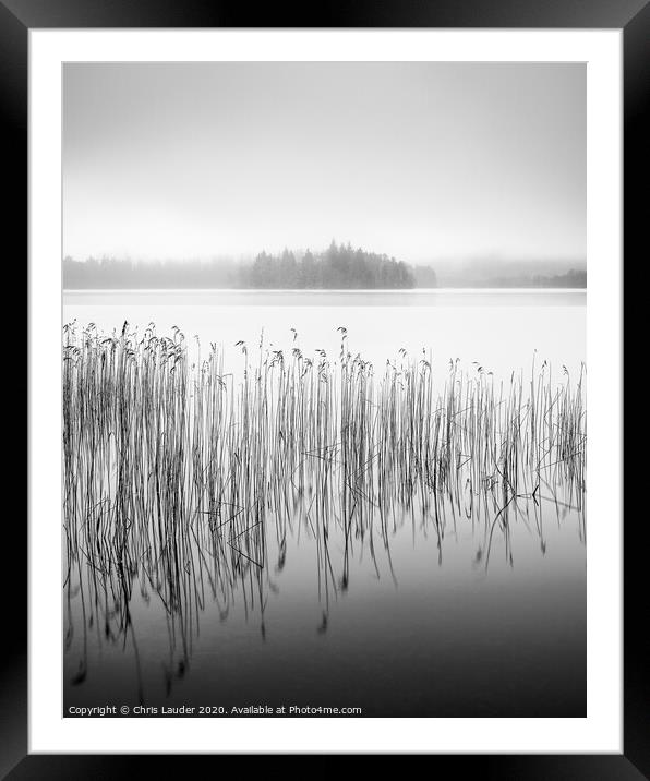 Mystical Reeds at Loch Ard Framed Mounted Print by Chris Lauder