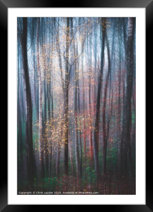 Woodland impressions Framed Mounted Print by Chris Lauder