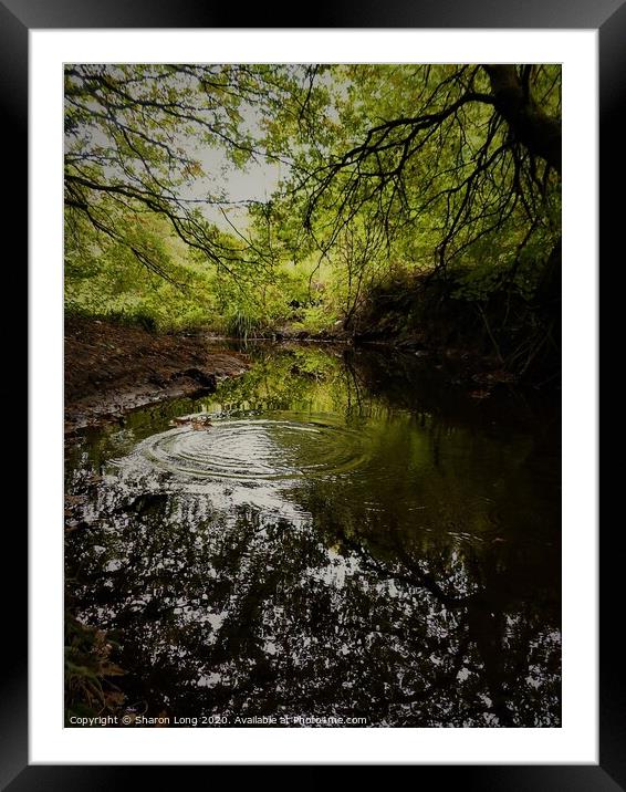 Autumn in Rivacre Valley Framed Mounted Print by Photography by Sharon Long 