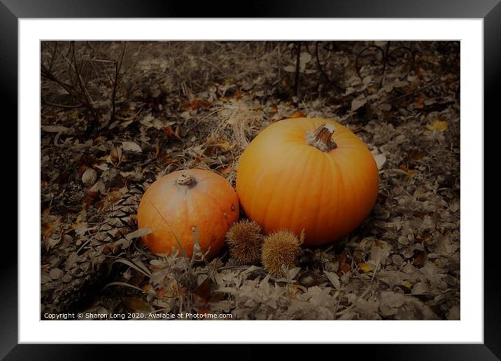Autumn Harvest Framed Mounted Print by Photography by Sharon Long 