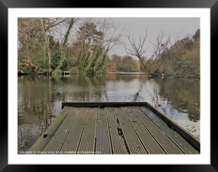 Autumn fishing in Birkehead park Framed Mounted Print by Photography by Sharon Long 