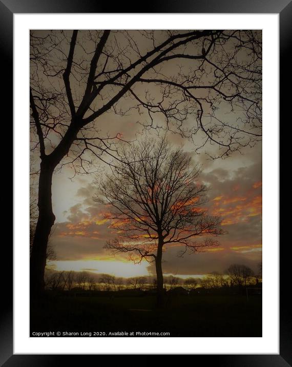 The Tree Of Life Framed Mounted Print by Photography by Sharon Long 