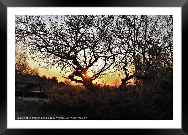 Sunset On Bidston Hill Framed Mounted Print by Photography by Sharon Long 