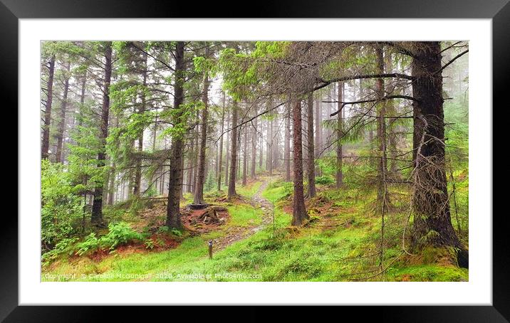 Misty Grizedale Forest  Framed Mounted Print by Caroline  McGunigall 
