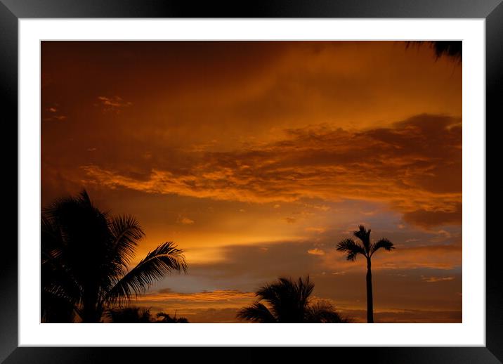 A palm tree in front of a sunset Framed Mounted Print by Alessandro Della Torre