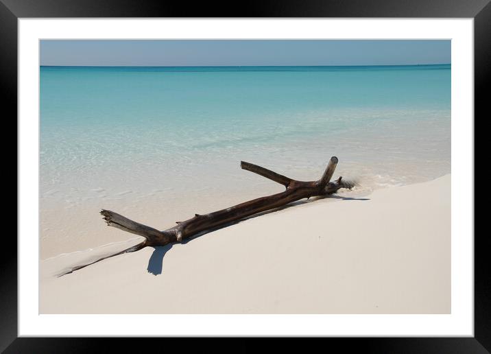sandy beach with white sand in front of the ocean Framed Mounted Print by Alessandro Della Torre