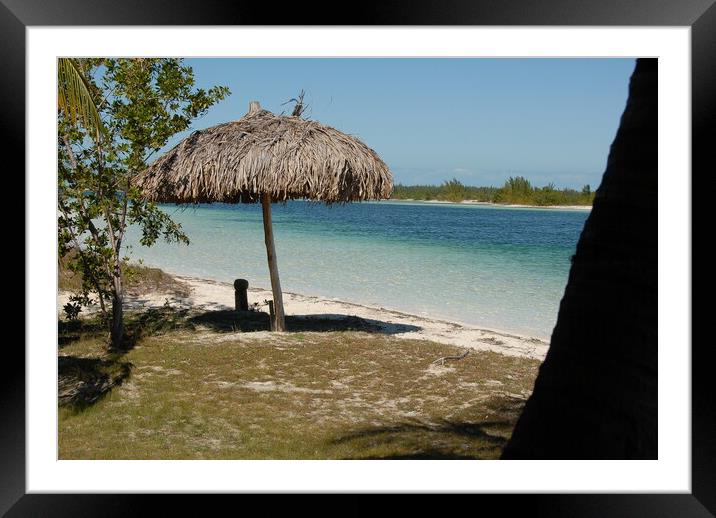 sandy beach with white sand in front of the ocean Framed Mounted Print by Alessandro Della Torre