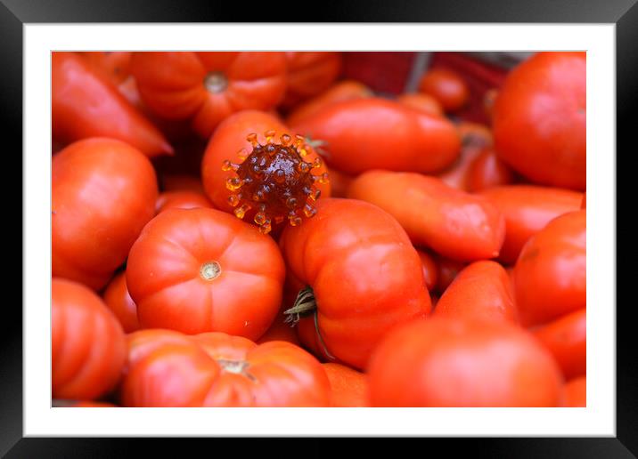 coronavirus covid-19 on tomatoes in a basket Framed Mounted Print by Alessandro Della Torre