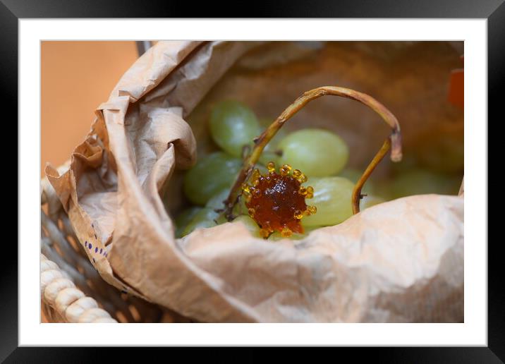 coronavirus covid-19 into a bag of grapes green Framed Mounted Print by Alessandro Della Torre