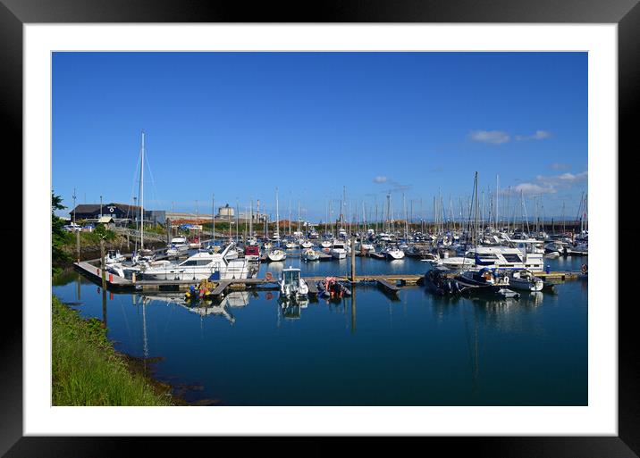 Troon marina residents Framed Mounted Print by Allan Durward Photography