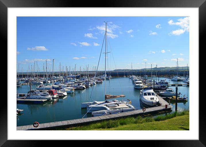 Troon marina craft Framed Mounted Print by Allan Durward Photography