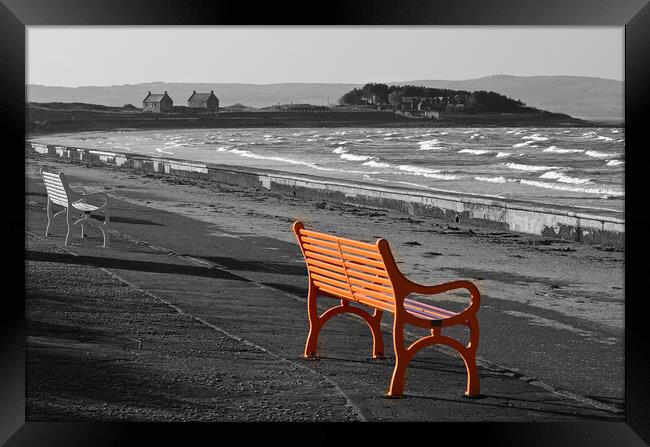 Coloured bench on Prestwick prom Framed Print by Allan Durward Photography