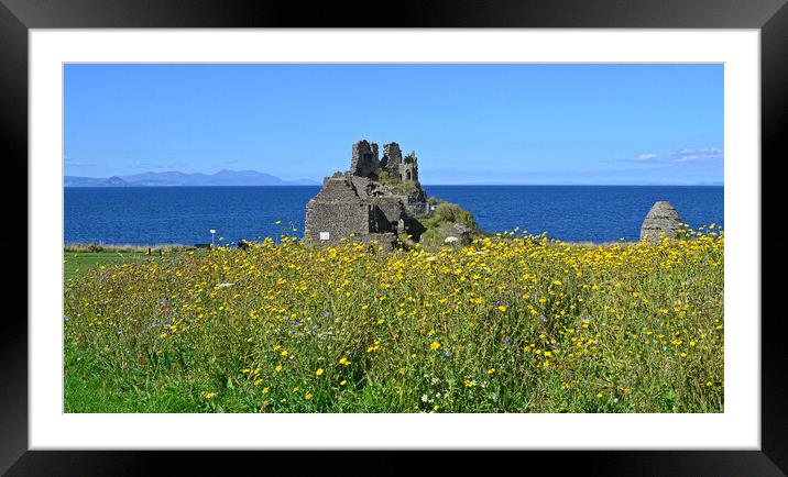 Dunure Castle and wilf flower bed Framed Mounted Print by Allan Durward Photography