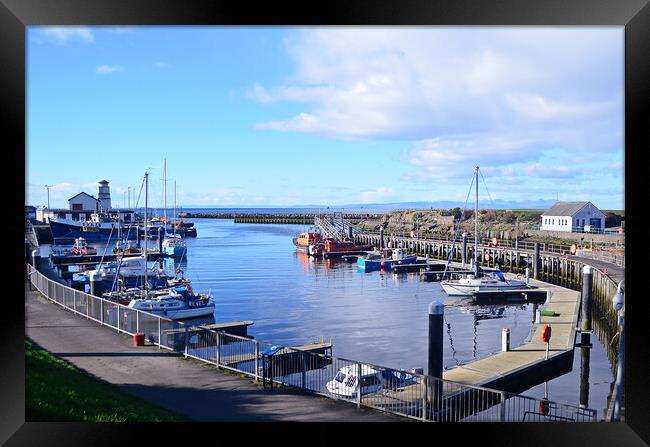Harbour boats berthed at Girvan Framed Print by Allan Durward Photography