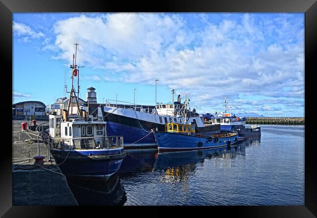Fishing boats at Girvan harbour Framed Print by Allan Durward Photography