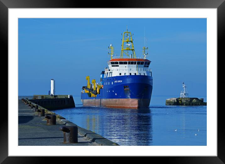 UKD Orca, Ayr harbour, Scotland Framed Mounted Print by Allan Durward Photography