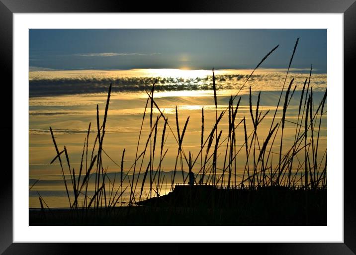 An evening in Ayr  Framed Mounted Print by Allan Durward Photography