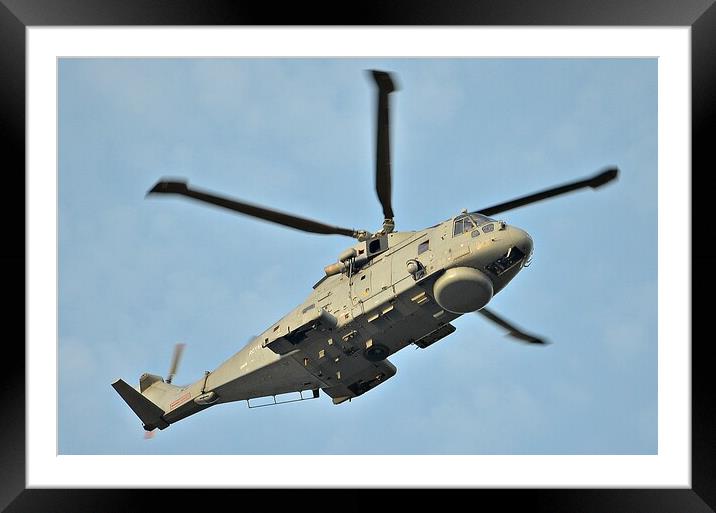 Royal Navy Merlin helicopter Framed Mounted Print by Allan Durward Photography