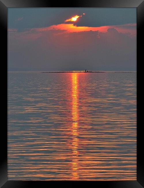 Reflecting sun Framed Print by Allan Durward Photography