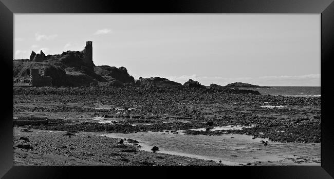 Dunure castle and harbour entrance Framed Print by Allan Durward Photography