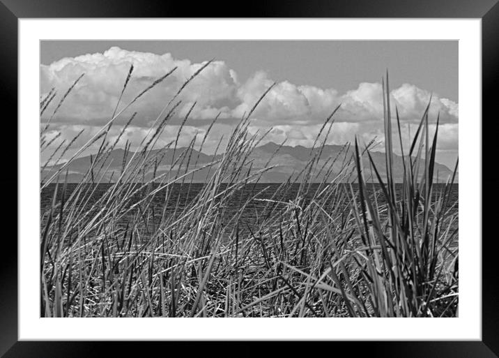 Arran nountains through the beach grass at Ayr Framed Mounted Print by Allan Durward Photography