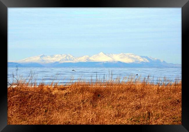 A wintry Arran mountain view Framed Print by Allan Durward Photography