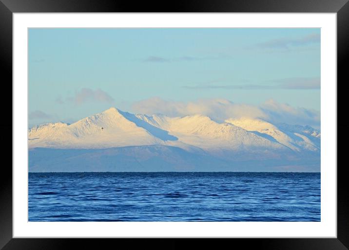 Goat Fell on Arran after a snowfall Framed Mounted Print by Allan Durward Photography