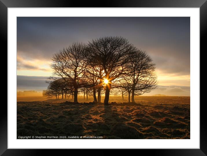 Sunrise through the trees on a misty moor Framed Mounted Print by Stephen Morrison