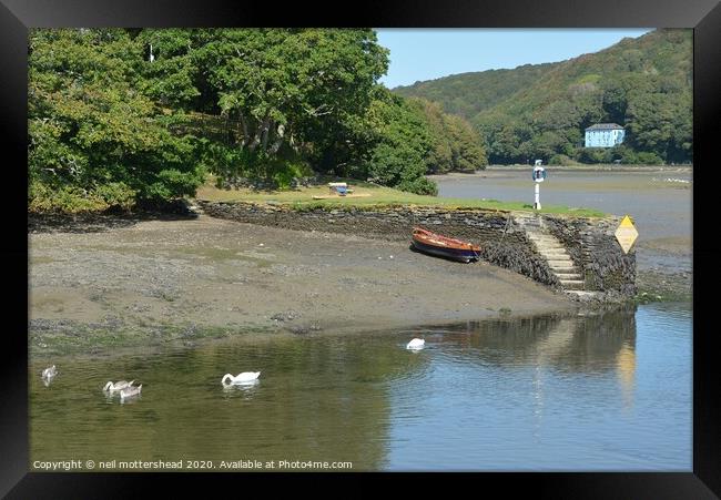 Family Day Out - A bevy of swans on the Looe river Framed Print by Neil Mottershead