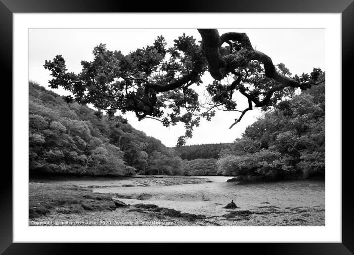 The Lerryn River At Low Tide. Framed Mounted Print by Neil Mottershead