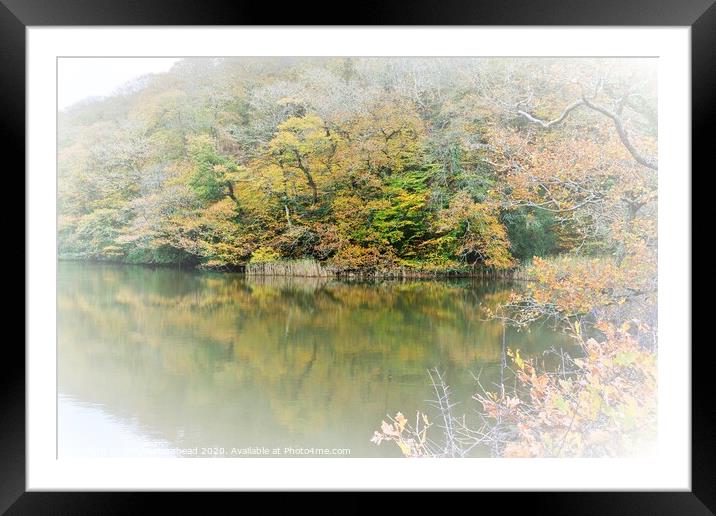 Autumn Colours On Steppe's Pond, Morval, Near Looe Framed Mounted Print by Neil Mottershead