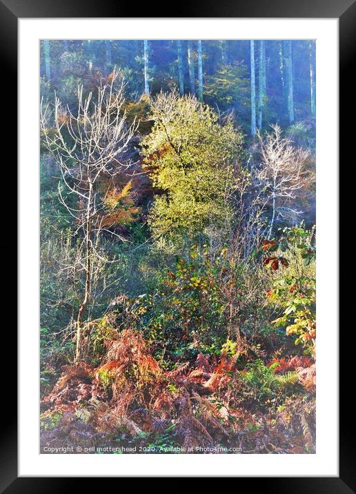 Cornish Autumn Colours, Framed Mounted Print by Neil Mottershead
