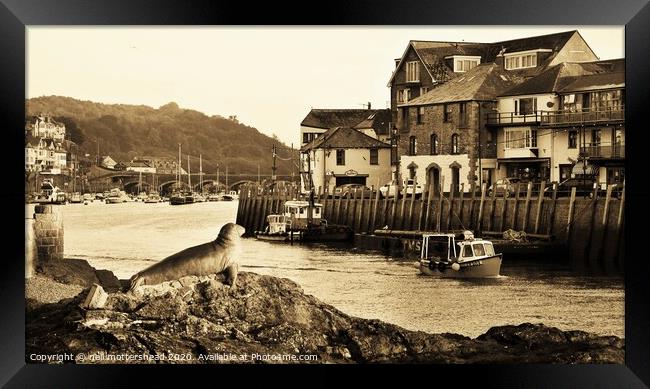 Early Morning Looe Departure. Framed Print by Neil Mottershead