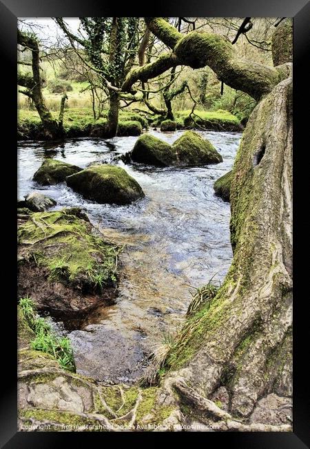 The River Fowey At Golitha Falls. Framed Print by Neil Mottershead