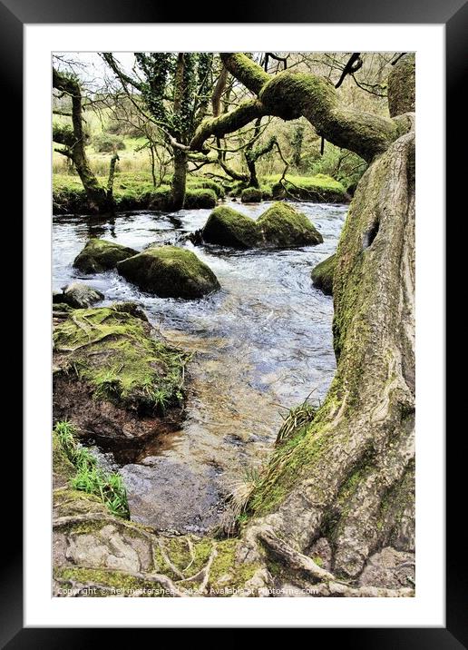 The River Fowey At Golitha Falls. Framed Mounted Print by Neil Mottershead