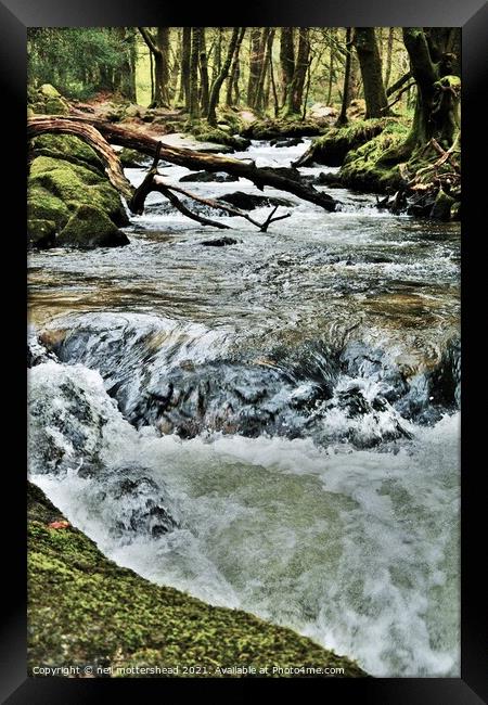 The River Fowey At Drayne's Wood & Golitha Falls. Framed Print by Neil Mottershead