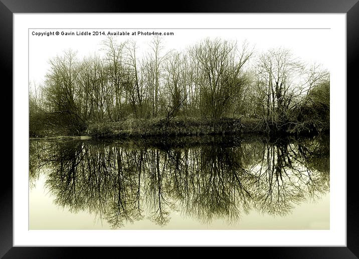  Tree Reflections 2 Framed Mounted Print by Gavin Liddle