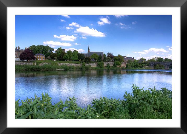 Kelso Cobby Framed Mounted Print by Gavin Liddle