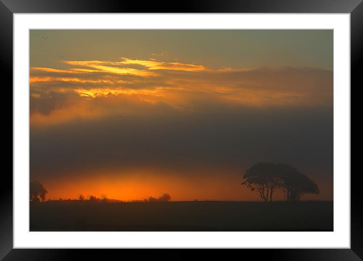 Misty Sunrise 2 Framed Mounted Print by Gavin Liddle