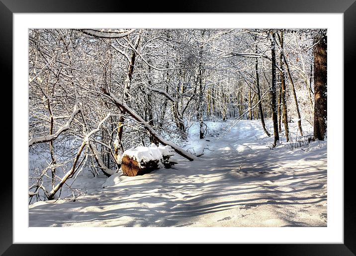 Snowy Woods Framed Mounted Print by Gavin Liddle