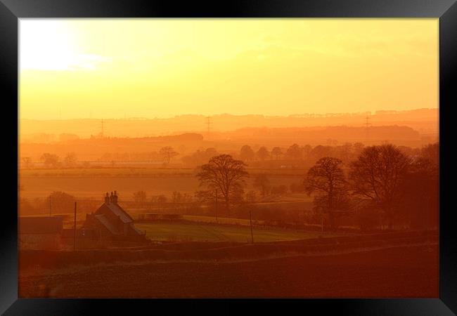 Golden Glow at Whitsome Framed Print by Gavin Liddle