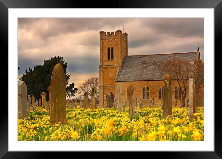 Carham Kirk and Daffodils Framed Mounted Print by Gavin Liddle
