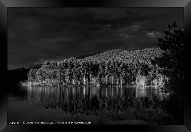 Forest reflections Framed Print by Jesus Martínez