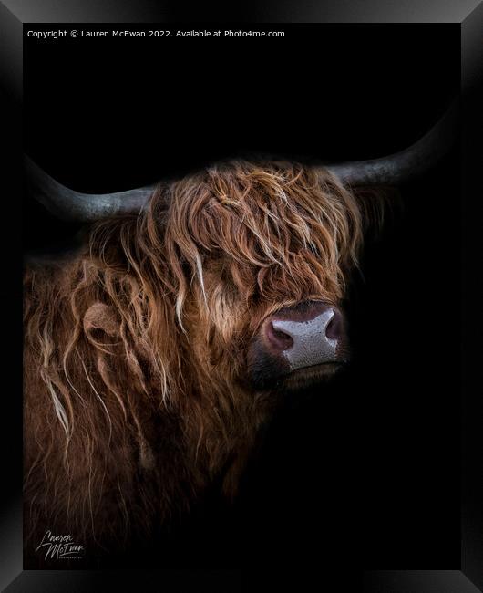 Portrait of a Highland Cow Framed Print by Lauren McEwan