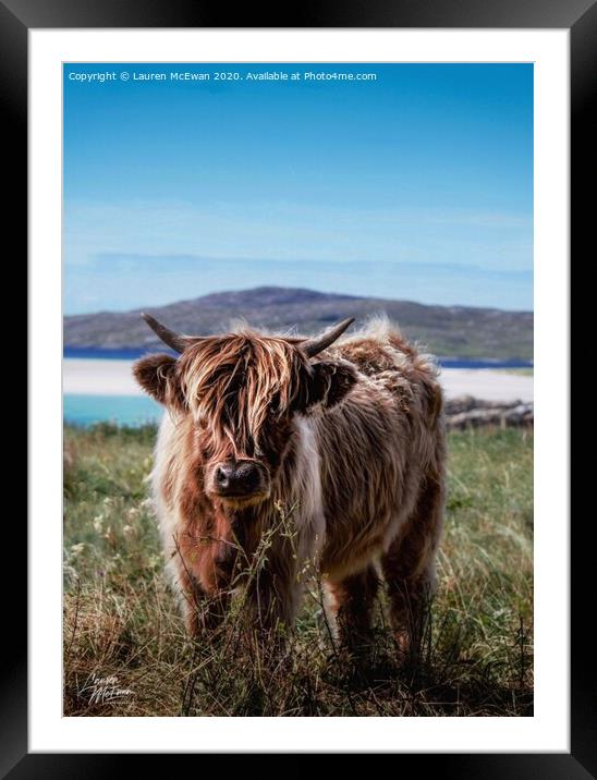 Harris Coo Framed Mounted Print by Lauren McEwan