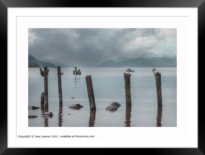 Gull on a post, Loch Ness Framed Mounted Print by Jaxx Lawson