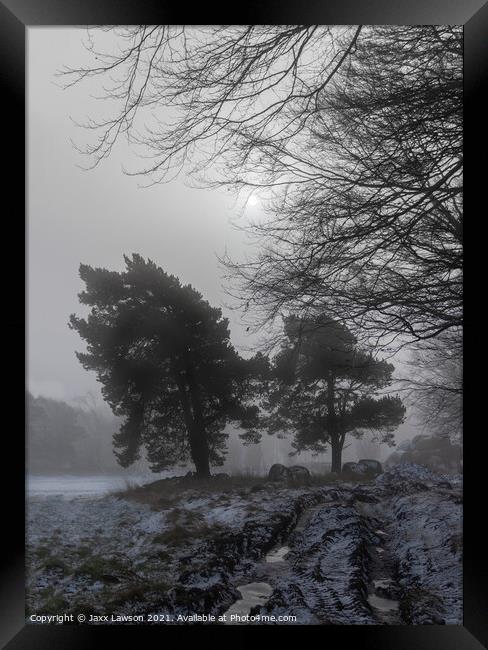Misty Winter Morning Framed Print by Jaxx Lawson